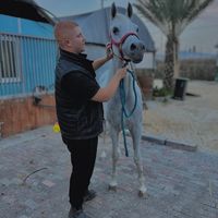 salehtaha78