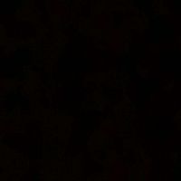 yusuf_can_0126