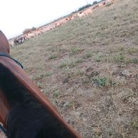 andres.acosta775