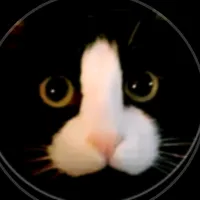 original sound - correa_19780