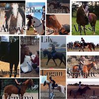 equestrian..friendz