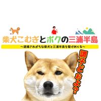 オリジナル楽曲 - 柴犬こむぎとボクの三浦半島