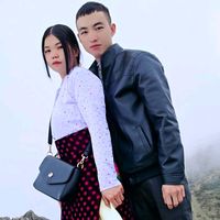 viptinhyeu