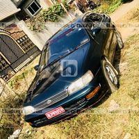 reet_darlami_magar