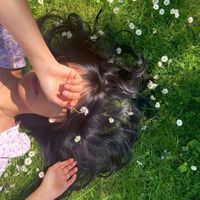 leenuu_estic