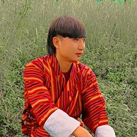 phuntsho983