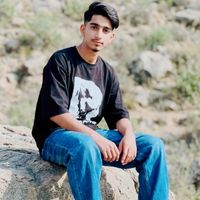 salmanmirza963