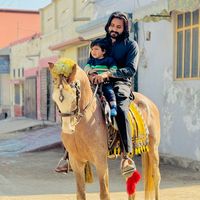 hamzagill031