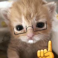 nhạc nền - ୭  ̊.+Venuscutii⊹🐰.ᐟ