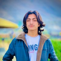 mr.aman...1