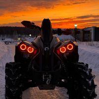 nekit_xmr