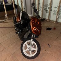 la_pepette_de_brosse