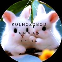 krolik.tj