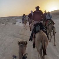 الصوت الأصلي