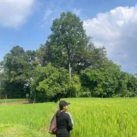 original sound - nonce363