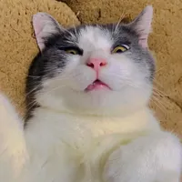 original sound - lolo.8_3