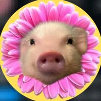 oinkoinknigga