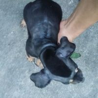 nhạc nền - Cậu Bé Mê Xekk