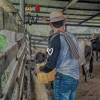 original sound - elmaicol32