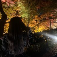 オリジナル楽曲 - Saki