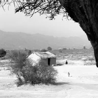 original sound - saif_.baloch
