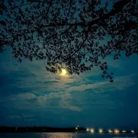 original sound - aduri525