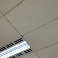 original sound - cihuuyyuy