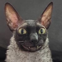 loreosis