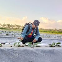 benihsuksesseed