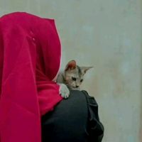 sonali_islam20
