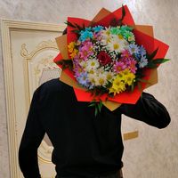 merdanov_o56