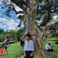 original sound - ကောင်ဝါးတောင်သား (edit)🥰🫶