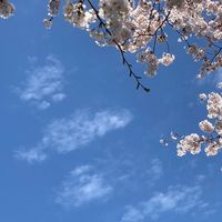 オリジナル楽曲 - わモ