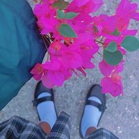 princessetayoo510