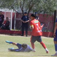 luchimanrique0
