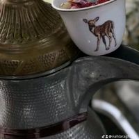 nahlaragheb4