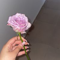 yane_ra21