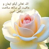 original sound - abbaskhan.33333