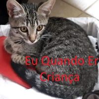 mamacita se sentindo um lixo