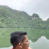 original sound - Surya
