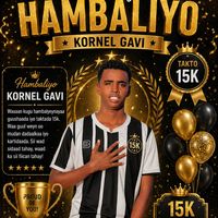 gavi0013