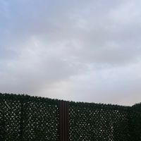 alenezi803
