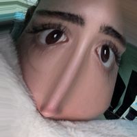 minadelfinn