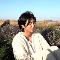 mikashi_d