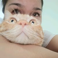 เสียงต้นฉบับ - แมวเหมียว กินข้าวเหนียวกับกะทิ