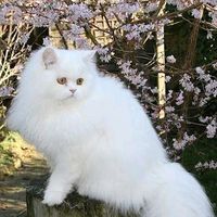 sonu74156