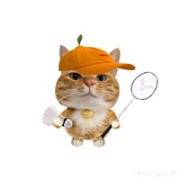nhạc nền - cá nóc cute đây 🐡🐡