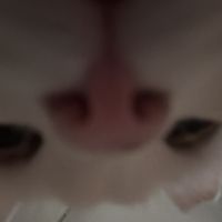 rxl7oo