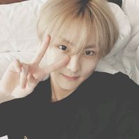 yunaluvsenha