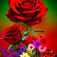 user5087132800761